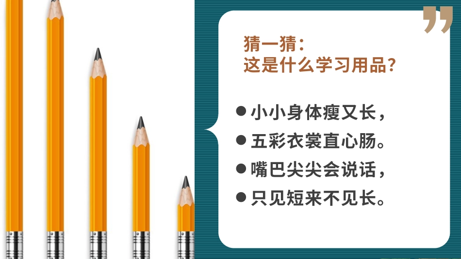 二年级道德与法治下册-12.2展示我的环保搭档（教学课件）-（统编版）.pptx_第1页