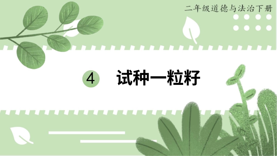 二年级下册道德与法治教学课件4 试种一粒籽.pptx_第1页