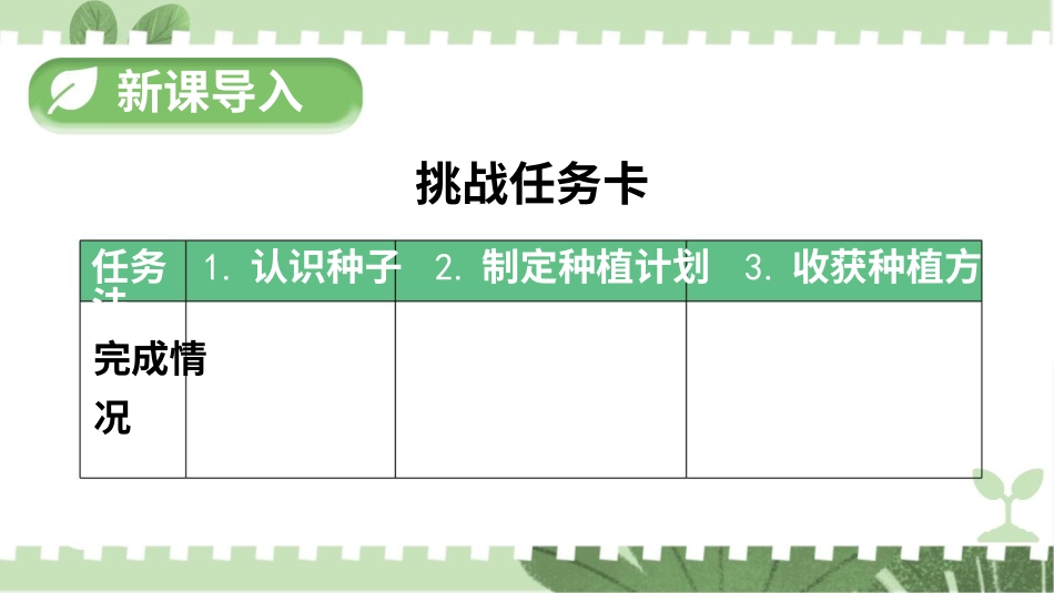 二年级下册道德与法治教学课件4 试种一粒籽.pptx_第2页