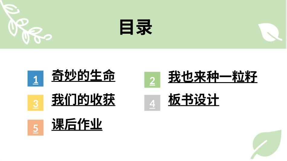 二年级下册道德与法治教学课件4 试种一粒籽.pptx_第3页