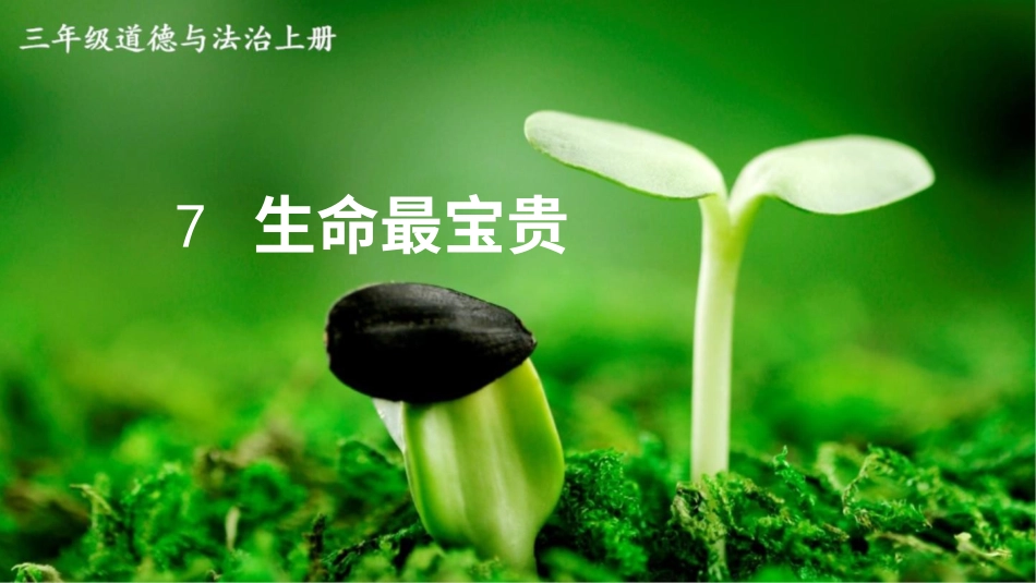 部编版道德与法治三上-7 生命最宝贵.pptx_第1页