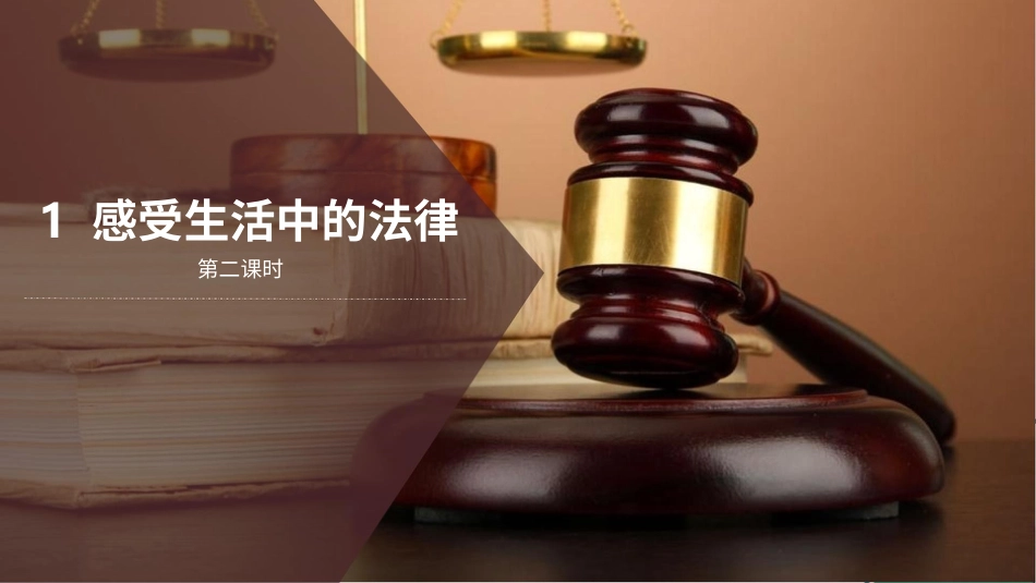 六年级上册道德与法治-1感受生活中的法律  第二课时 课件.pptx_第2页
