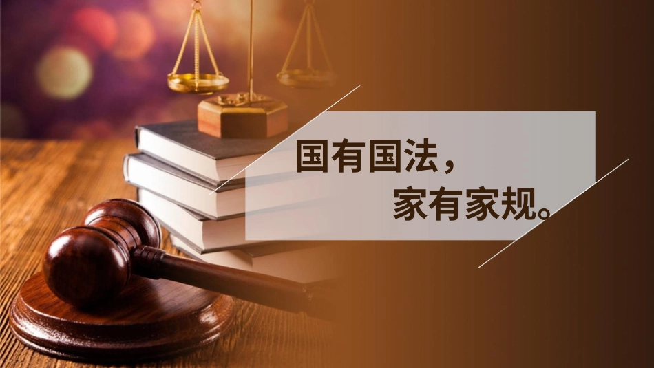 六年级上册道德与法治-1感受生活中的法律  第一课时 课件.pptx_第2页