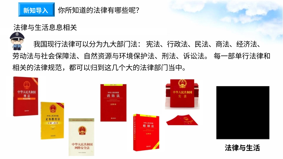 1.1感受生活中的法律 第1课时 法律是什么（ 课件）-六年级上册道德与法治.pptx_第3页