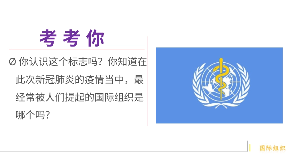 六年级下册道德与法治-9日益重要的国际组织  第一课时课件.pptx_第2页
