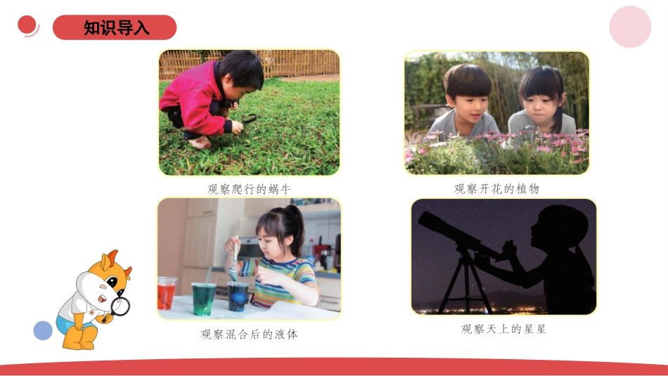 一年级上册（苏教版）科学课件-1.1《小小科学家 》.pptx_第2页