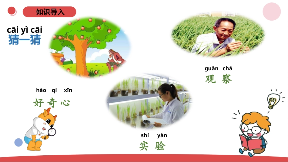 一年级上册（苏教版）科学课件-1.4《走进科学》单元小结.pptx_第2页