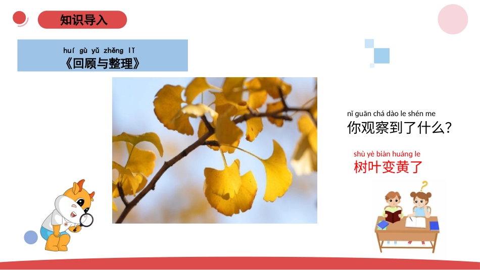 一年级上册（苏教版）科学课件-3.4《用大脑思考》单元小结.pptx_第2页