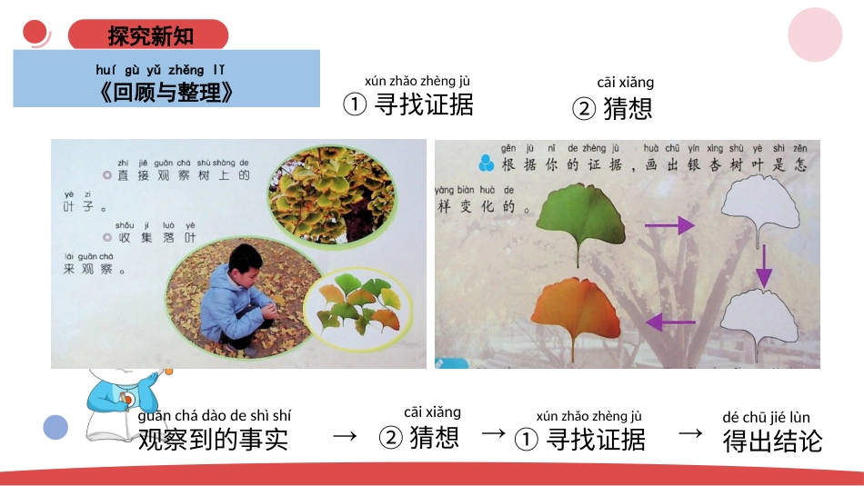 一年级上册（苏教版）科学课件-3.4《用大脑思考》单元小结.pptx_第3页