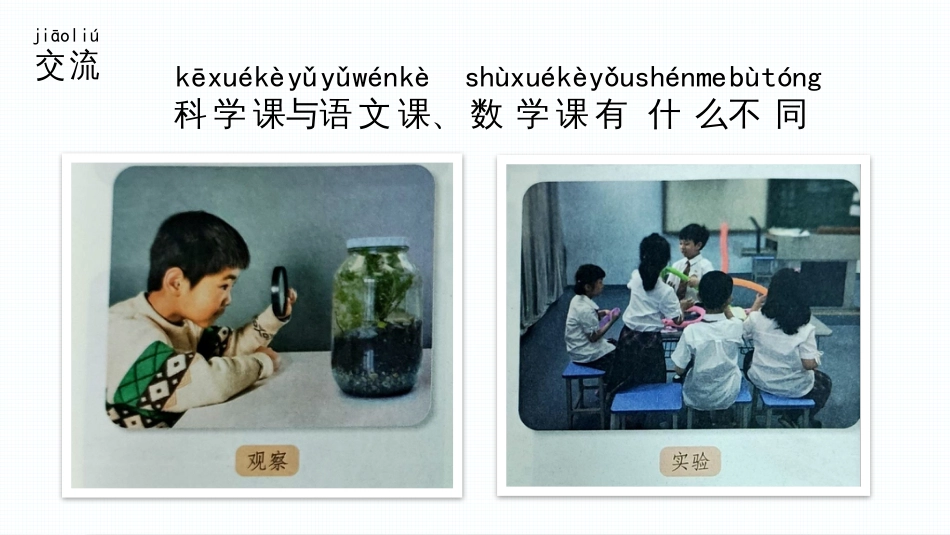 3上好科学课（教学课件）-一年级上册科学（苏教版·2024秋）.pptx_第2页