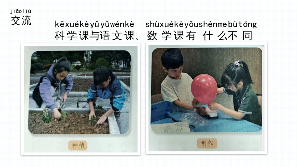 3上好科学课（教学课件）-一年级上册科学（苏教版·2024秋）.pptx_第3页