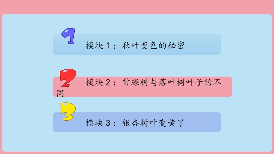 9 探究秋叶的秘密（课件）-一年级上册科学 苏教版.pptx_第2页