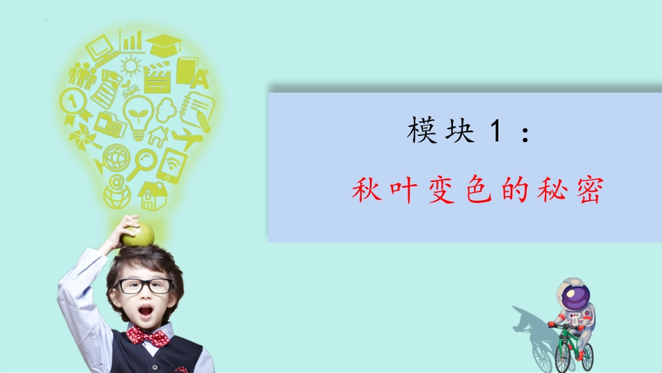 9 探究秋叶的秘密（课件）-一年级上册科学 苏教版.pptx_第3页