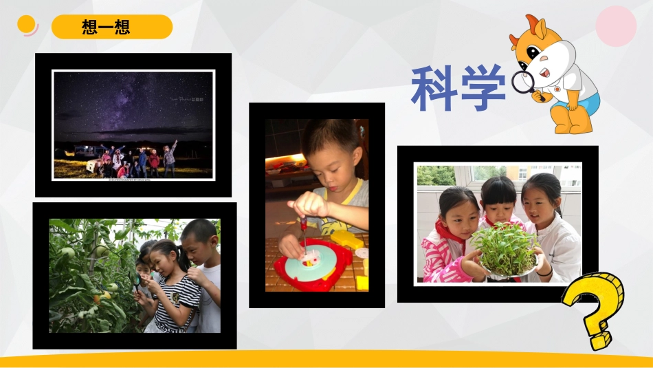 一年级苏教版上册科学-1. 《小小科学家》课件.pptx_第3页