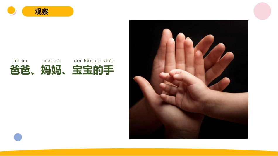 一年级苏教版上册科学-6.《借助工具观察》.pptx_第2页