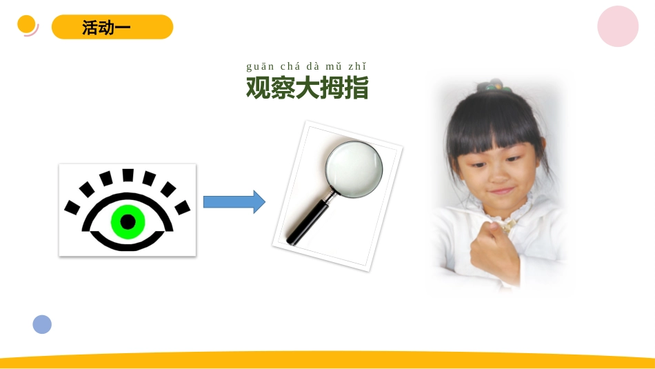 一年级苏教版上册科学-6.《借助工具观察》.pptx_第3页