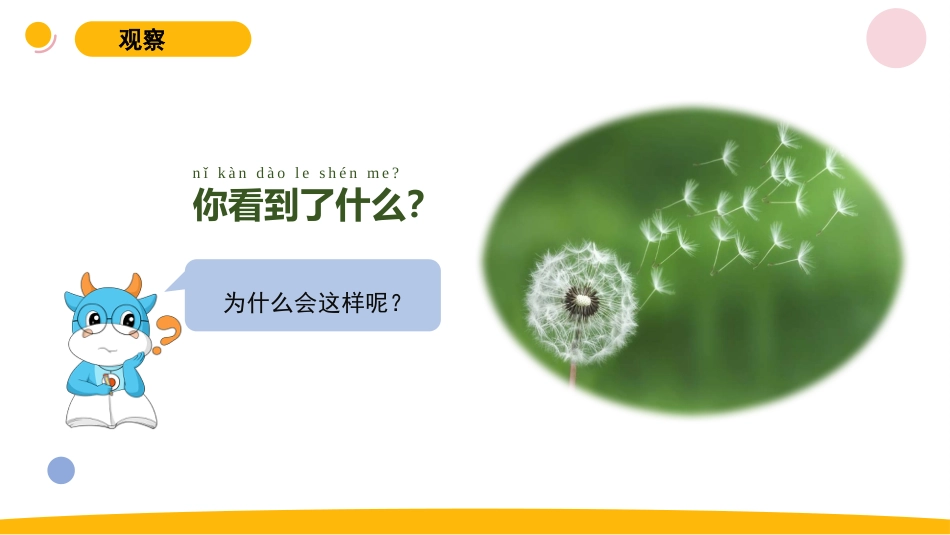 一年级苏教版上册科学-7.《做个小侦探》 （课件）.pptx_第3页