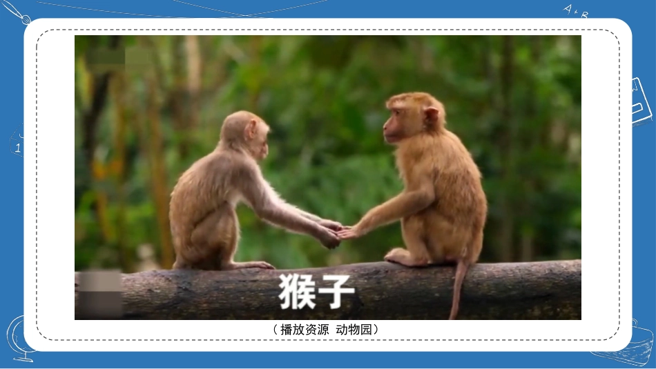 科学苏教版一年级下册-10.形形色色的动物.pptx_第3页