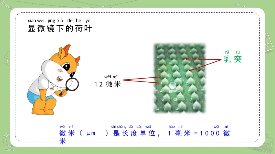 二年级科学下册-3.神奇的新材料.pptx_第3页