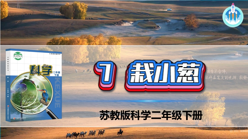 二年级科学下册-7 栽小葱（课件）.pptx_第1页