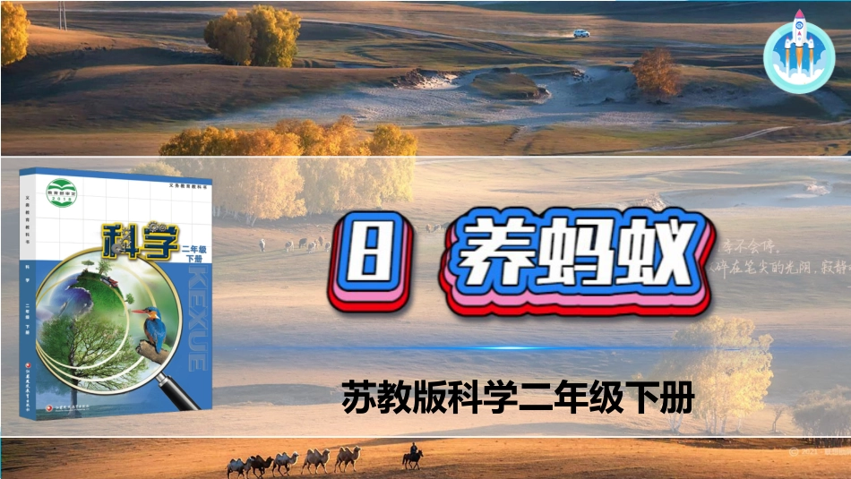二年级科学下册-8 养蚂蚁（课件）.pptx_第1页