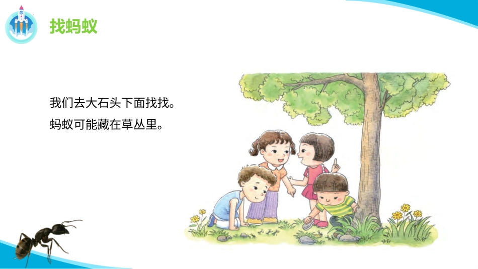 二年级科学下册-8 养蚂蚁（课件）.pptx_第3页