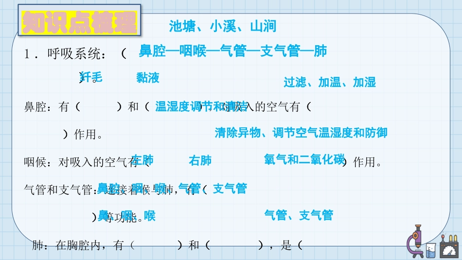 三年级科学上册-第五单元 人的呼吸和消化（复习课件）（苏教版）.pptx_第2页