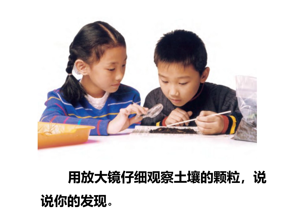 小学科学苏教版三上2-2《土壤的类型》PPT.pptx_第2页