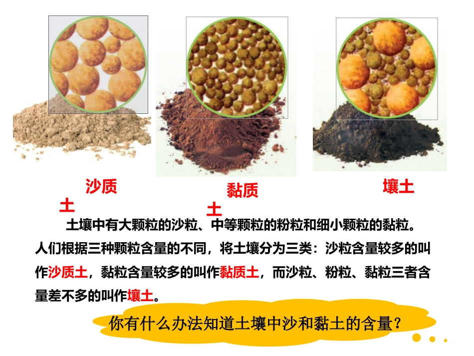 小学科学苏教版三上2-2《土壤的类型》PPT.pptx_第3页