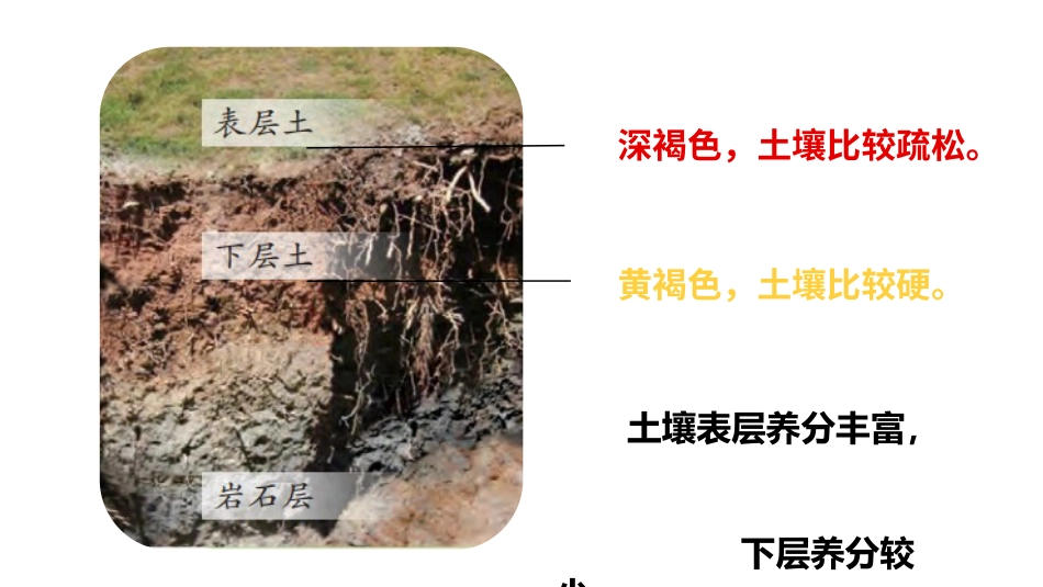 小学科学苏教版三上2-3《肥沃的土壤》PPT.pptx_第3页