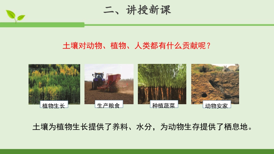 小学科学苏教版三上2-4《保护土壤》PPT.pptx_第3页