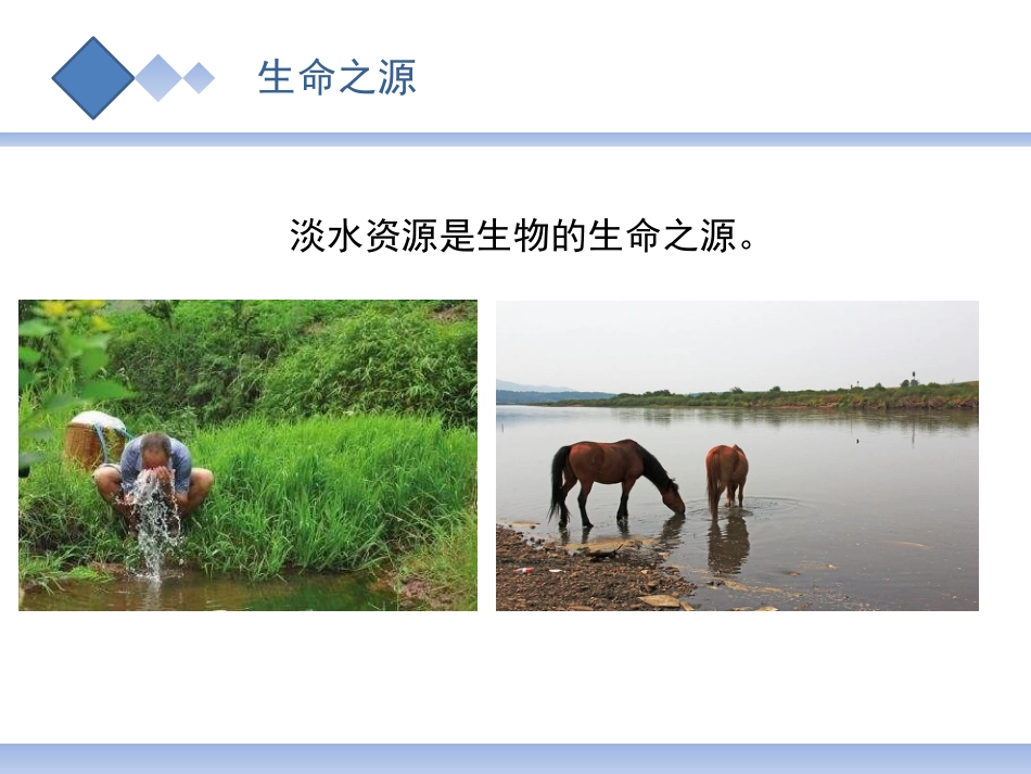 小学科学苏教版三上4-1《地下水》PPT.pptx_第3页