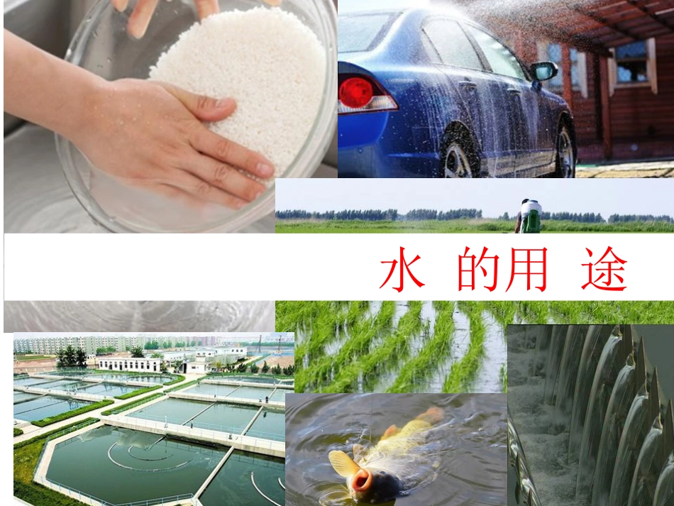 小学科学苏教版三上4-4《珍惜水资源》PPT.pptx_第2页