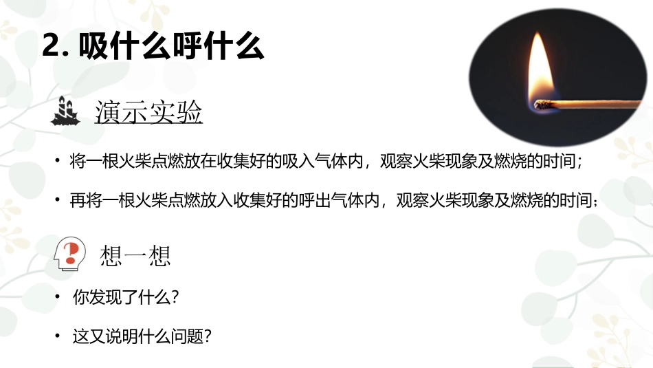 小学科学苏教版三上5-1《人的呼吸》PPT.pptx_第3页