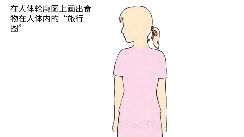 小学科学苏教版三上5-3《食物的旅行》PPT.pptx_第3页