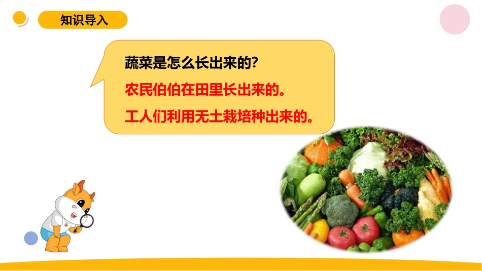小学苏教版科学六上5.2《人造肥料与现代农业》PPT.pptx_第2页