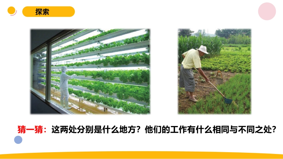 小学苏教版科学六上5.2《人造肥料与现代农业》PPT.pptx_第3页