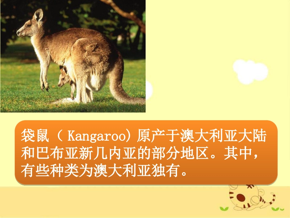 （人音版）一年级音乐上册-《袋鼠》课件二.ppt_第1页