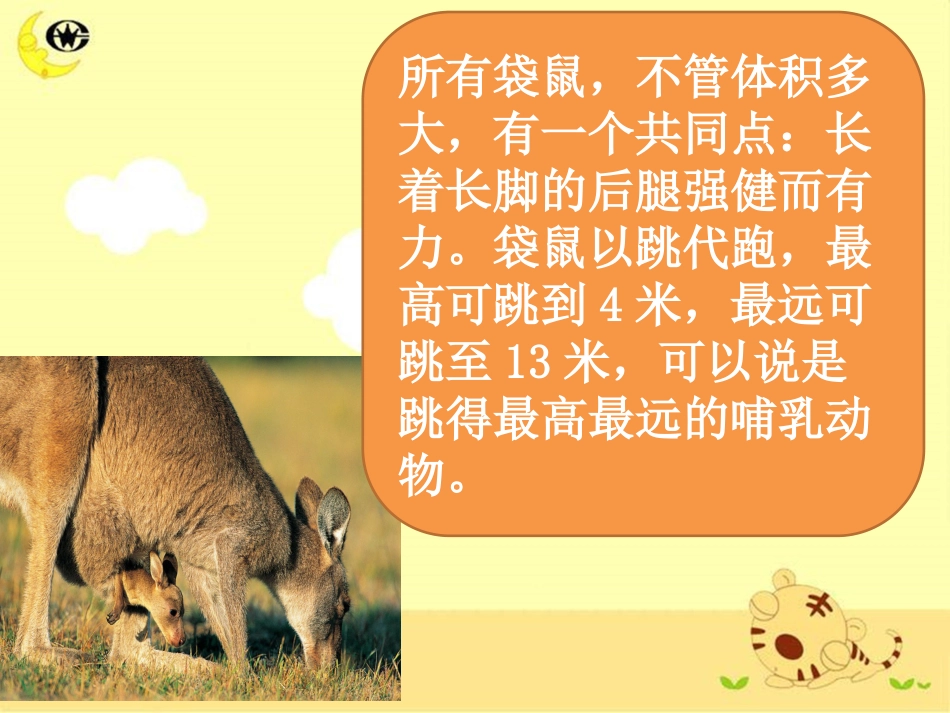 （人音版）一年级音乐上册-《袋鼠》课件二.ppt_第3页