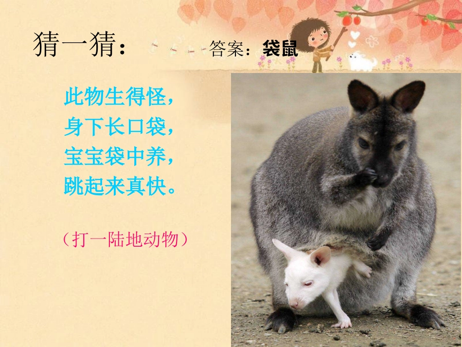 （人音版）一年级音乐上册-《袋鼠》课件一.ppt_第3页