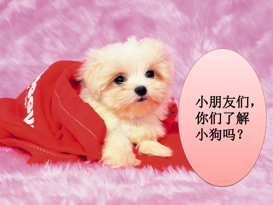 （人音版）一年级音乐上册-《口哨与小狗》课件一.ppt_第1页