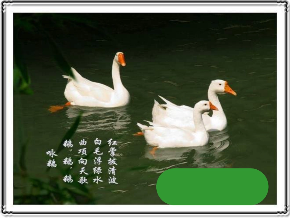 （人音版）一年级音乐上册-《咏鹅》课件二.ppt_第2页