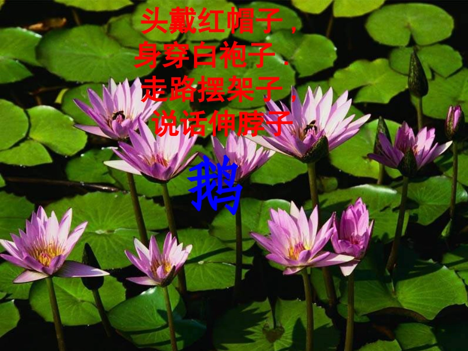 （人音版）一年级音乐上册-《咏鹅》课件一.ppt_第1页