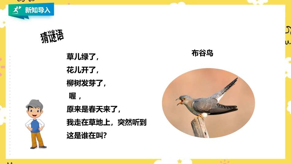 小学音乐人音版一年级下册第一单元第3课时《布谷》.pptx_第2页