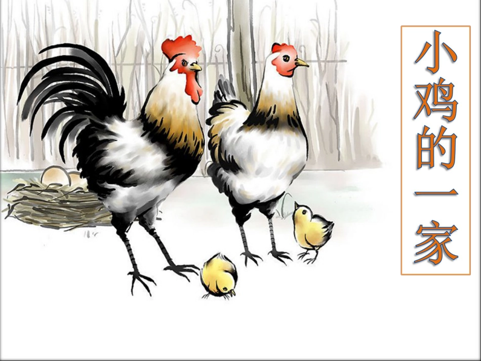 二年级音乐人音版上册-《小鸡的一家》课件1(1).ppt_第1页