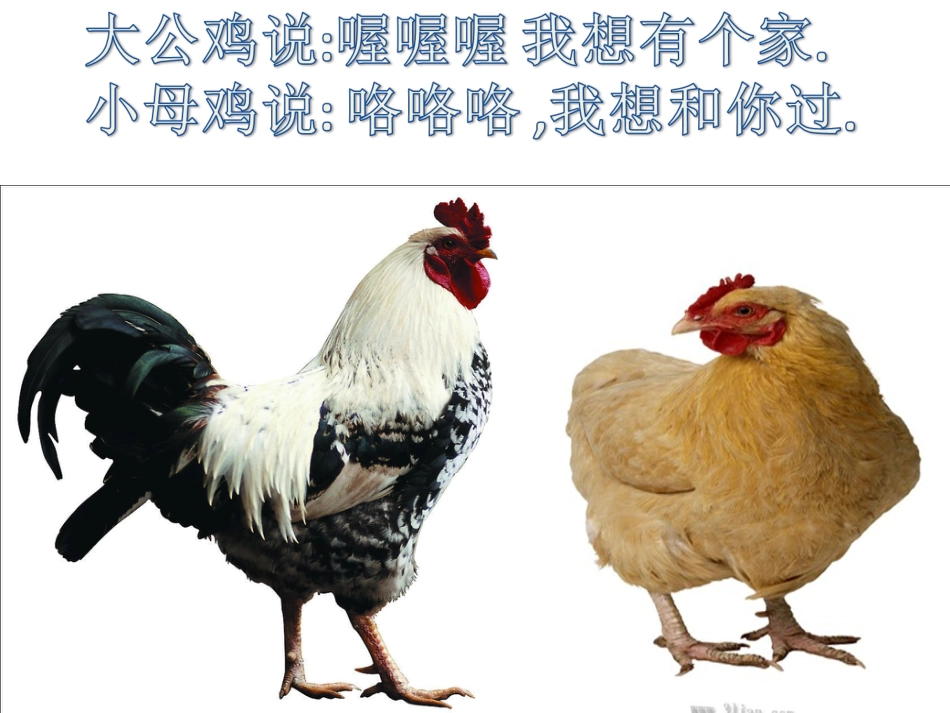 二年级音乐人音版上册-《小鸡的一家》课件1(1).ppt_第3页