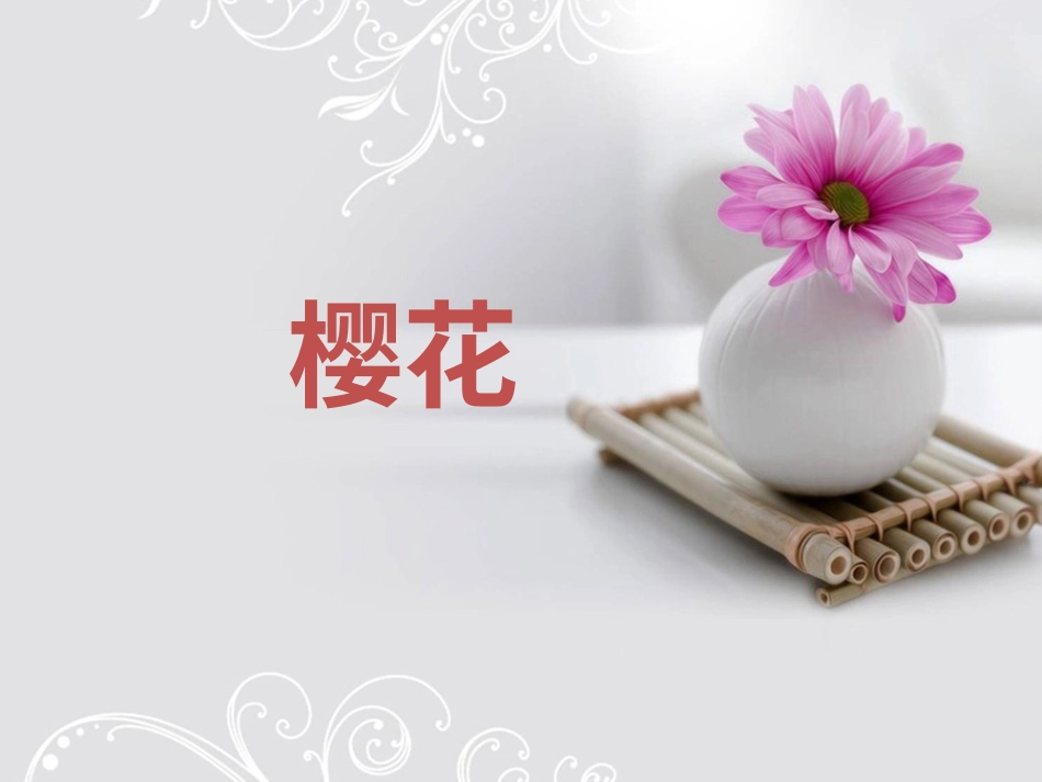 人音版小学音乐三年级上册《樱花》课件.ppt_第1页