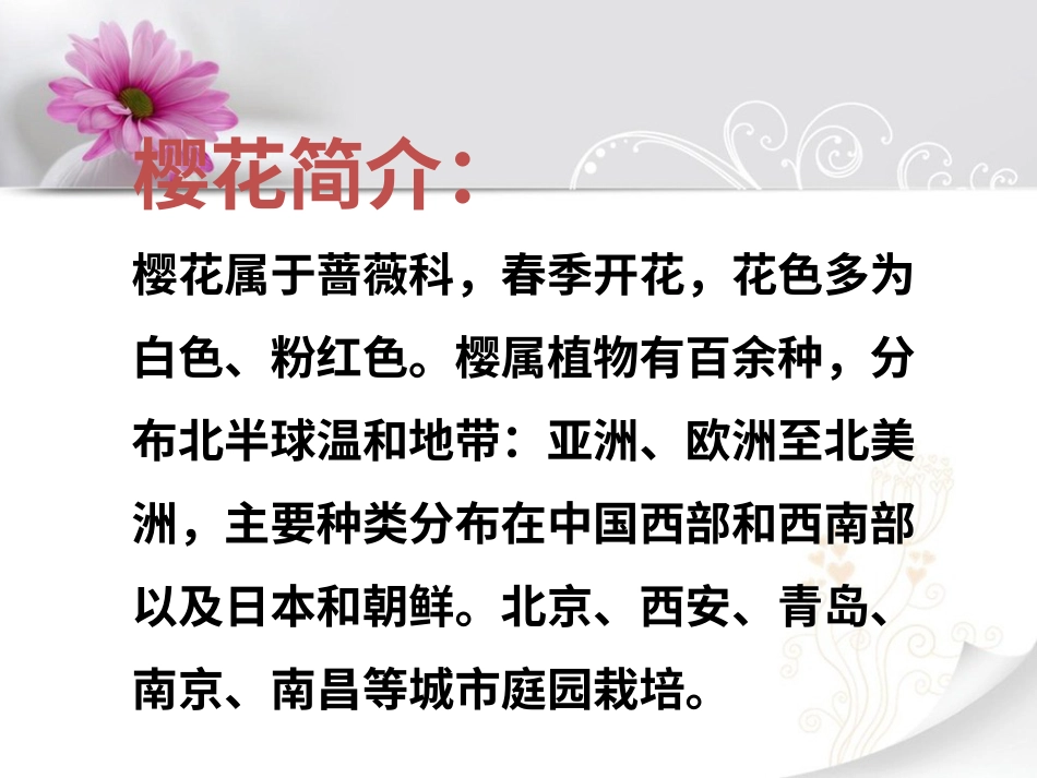 人音版小学音乐三年级上册《樱花》课件.ppt_第2页