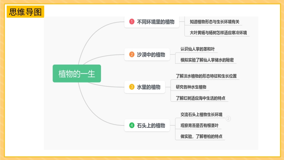三年级科学下册-第二单元 植物与环境（复习课件）-（苏教版）.pptx_第2页