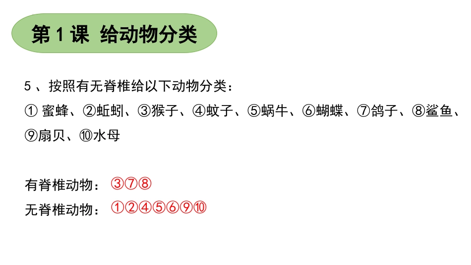 四年级上册科学-第一单元 动物大家族（复习课件）苏教版）.pptx_第3页